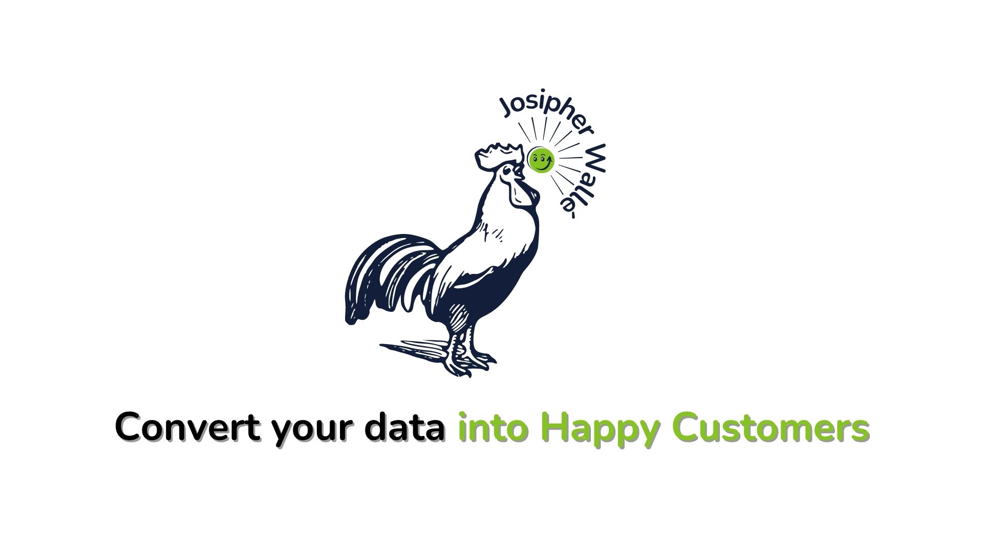 Josipher Walle Convert your data into Happy Customers
